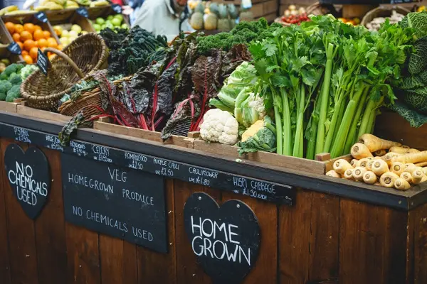 Read more about the article Power Foods for Psychological Development